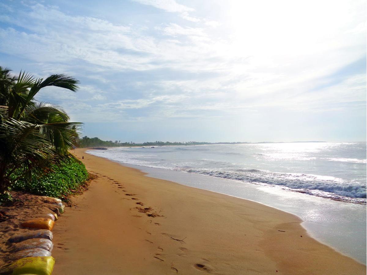 Reggae Zone Beach Resort Tangalle Exteriör bild